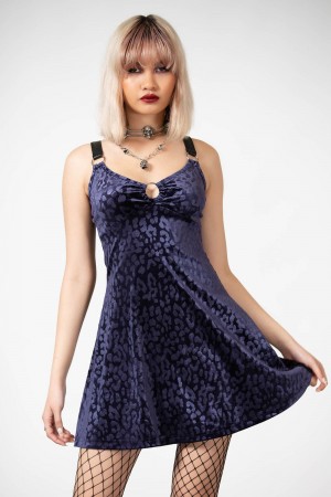 Killstar Cool Cat Kleider [PLUM] Kleid Damen Lila | ACW359248