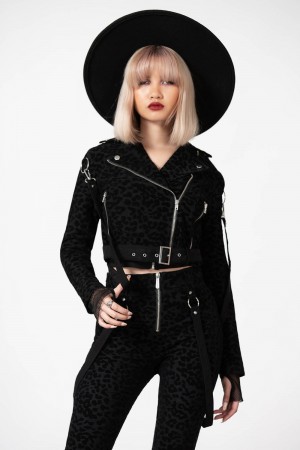 Killstar Demon Claw Biker Jacket Oberbekleidung Damen Schwarz | TRW916073