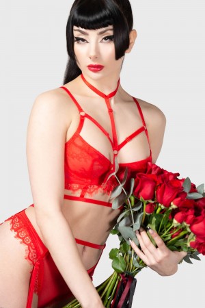 Killstar Harlow's Seduction Bra Unterwäsche Damen Rot | JFM690834