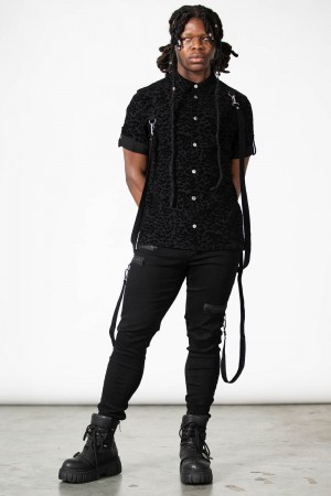 Killstar Mad Paw Leopard Print Shirt Oberteile Damen Schwarz | VYB396214